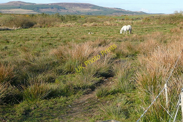 Photo 6"x4" Pasture at Coor West Mullagh c2010