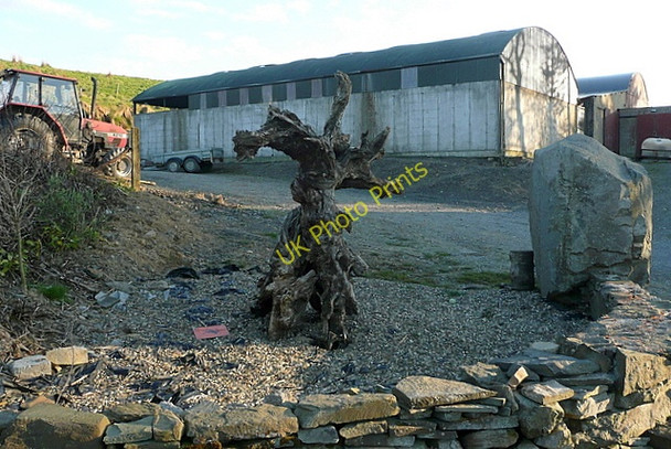 Photo 6"x4" Farm at Drehidnaraha Milltown Malbay c2010
