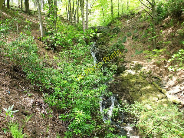 Photo 6"x4" Colzium Burn, Colzium-Lennox Estate, Kilsyth Kilsyth c2010