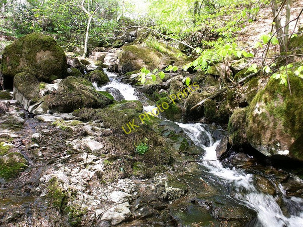 Photo 6"x4" Colzium Burn Kilsyth c2010