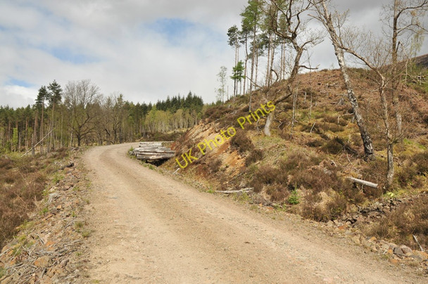Photo 6"x4" Forestry road in one of the plantations north of Loch Arkaig Loch Arkaig\/NN1290 c2010