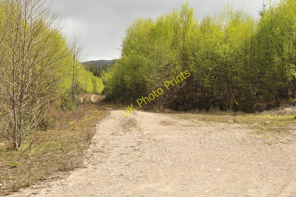 Photo 6"x4" Track into the forestry near Duisky Duisky c2010