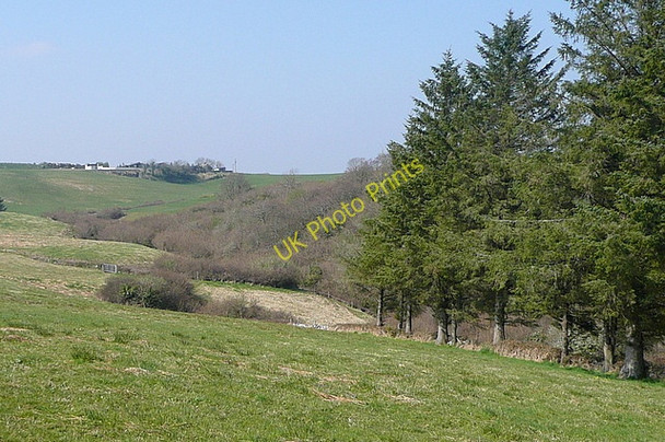 Photo 6"x4" Pasture at Gortmore Kilnamona c2010