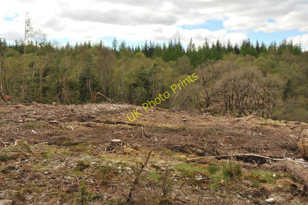 Photo 6"x4" Clear-felled forest near Duisky Duisky c2010