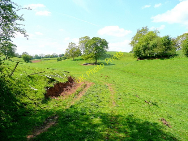Photo 6"x4" Pastoral countryside Botloe's Green c2010