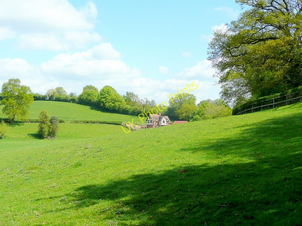 Photo 6"x4" Pauntley pastures Botloe's Green c2010