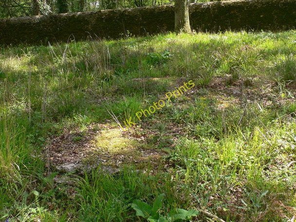 Photo 6"x4" The water tower that was Gunter's Bridge c2010