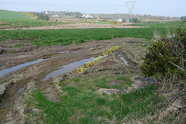 Photo 6"x4" Pasture at Rathkerry Mahonburgh c2010