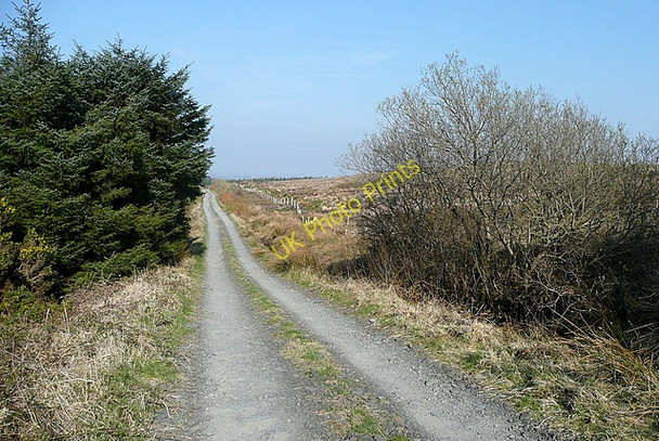 Photo 6"x4" The Ben Dash road Kilmaley c2010