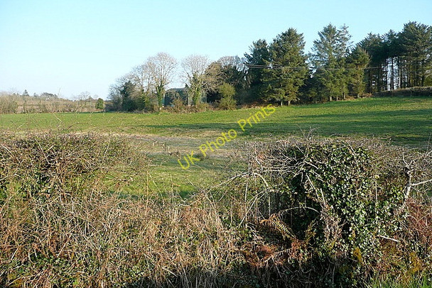 Photo 6"x4" Pasture at Cahermore Derragh c2010