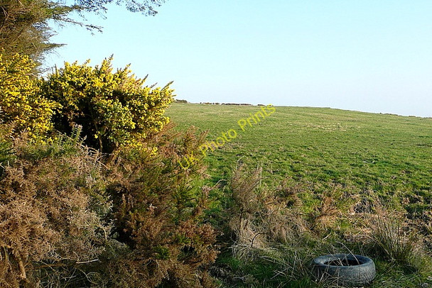 Photo 6"x4" Pasture at Kyleatunna Derragh c2010