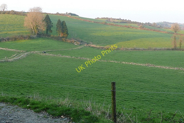 Photo 6"x4" Pasture at Kilglassy Derragh c2010