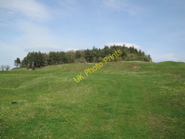 Photo 6"x4" Downhill Quarries (disused) and Plantation Halton Shields c2010