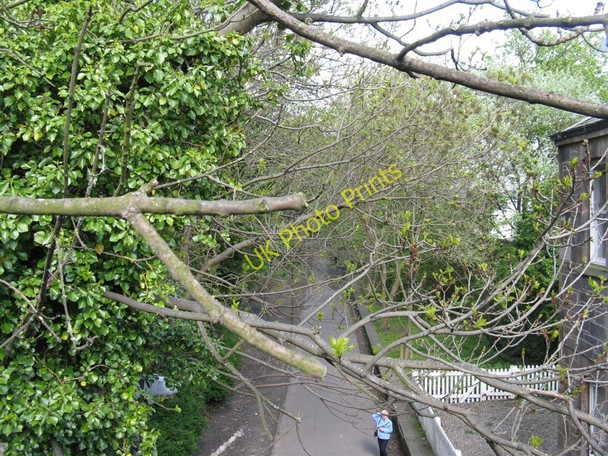 Photo 6"x4" Bonnington Station, 48 years on Leith\/NT2776 c2010