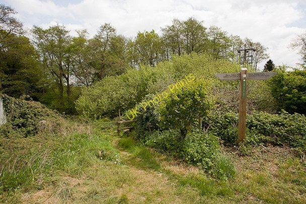 Photo 6"x4" Avon Valley Path at Sopley Sopley c2010