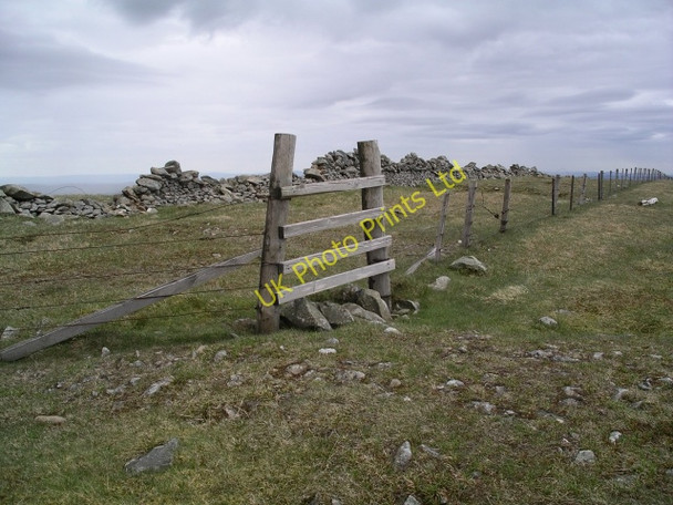 Photo 6"x4" Summit, Fifescar Knowe Dollar Law c2006