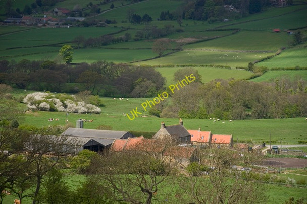 Photo 6"x4" New House Farm Glaisdale Glaisdale\/NZ7705 c2010