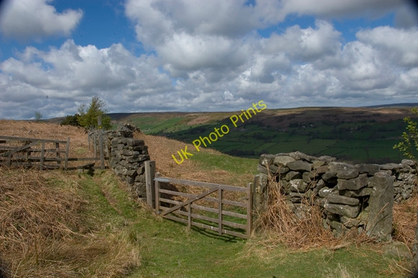 Photo 6"x4" Path junction above Bank House farm Glaisdale Glaisdale\/NZ7705 c2010