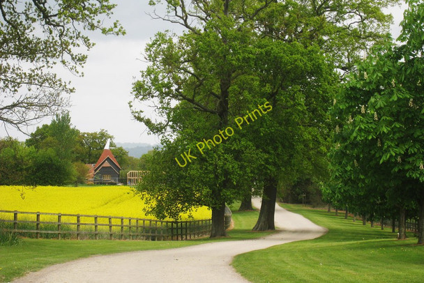 Photo 6"x4" Track to Lingfield Lodge Farm Marsh Green\/TQ4444 c2010