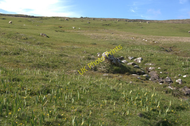 Photo 6"x4" Slope above Wick of Smirgirt, Framgord Mailand c2010