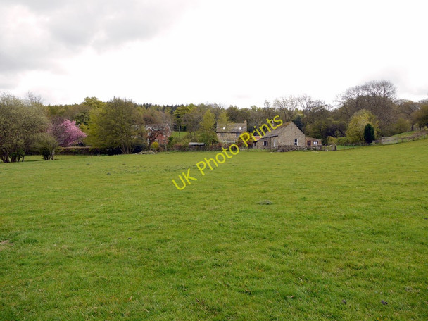 Photo 6"x4" Pasture north of Burn House Beltingham c2010