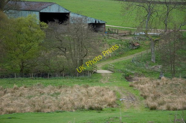 Photo 6"x4" Farm track and Baysdale Beck Kildale c2010