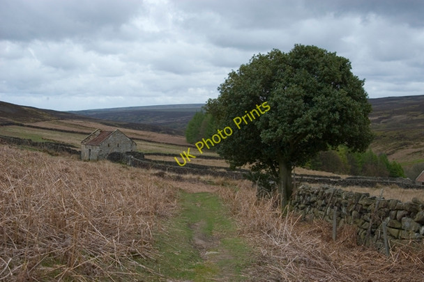 Photo 6"x4" Footpath along Baysdale Kildale c2010