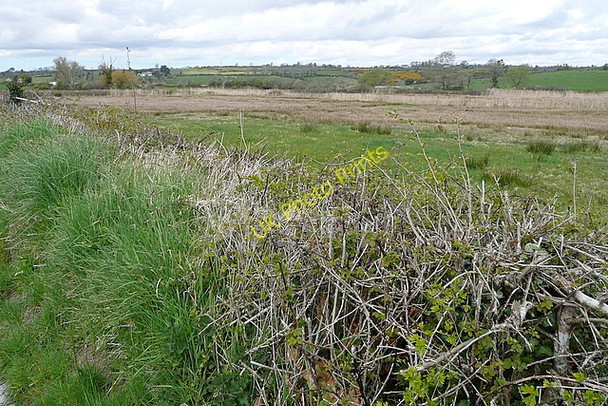 Photo 6"x4" Rough grazing at Inishdea Ballynacally c2010