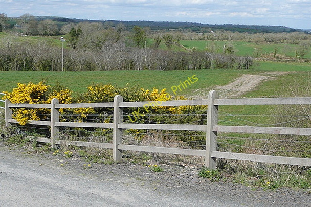 Photo 6"x4" View at Cloonnakilla Ballynacally c2010