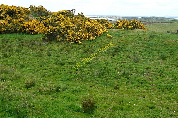 Photo 6"x4" Pasture at Crovraghan Killadysert c2010