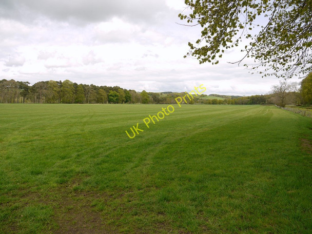 Photo 6"x4" Pasture north-west of Beltingham Beltingham c2010