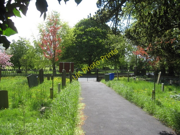 Photo 6"x4" Main path to All Saints', Muston Filey c2010