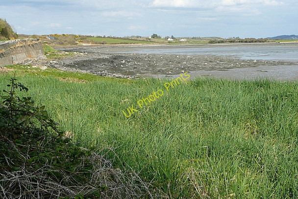 Photo 6"x4" Bay at Cloonkerry West Labasheeda c2010