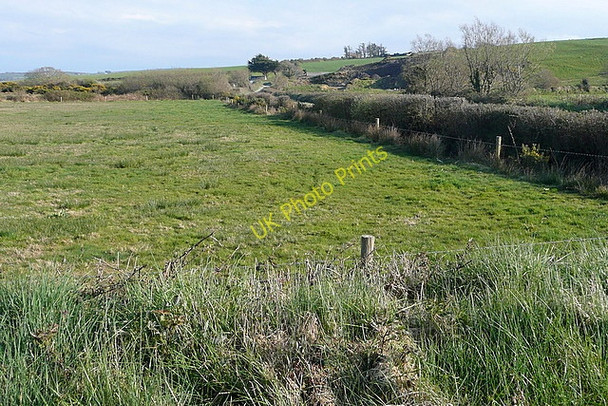 Photo 6"x4" Pasture at Mountshannon East Labasheeda c2010
