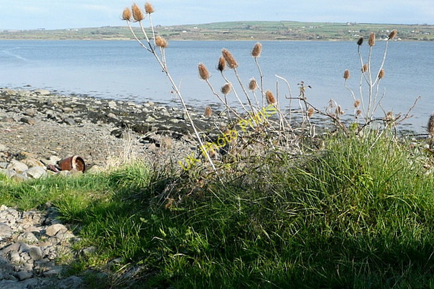 Photo 6"x4" Shoreline at Mountshannon West Glin c2010