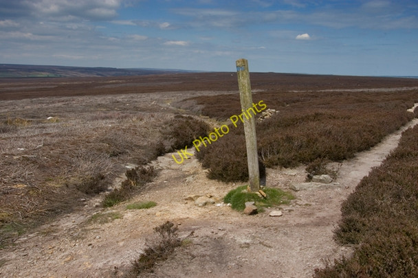 Photo 6"x4" Path junction on Simon Howe Goathland c2010