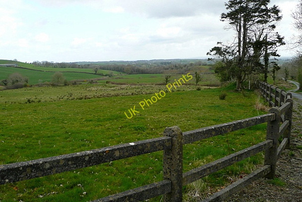 Photo 6"x4" Pasture at Knockanira Derragh c2010