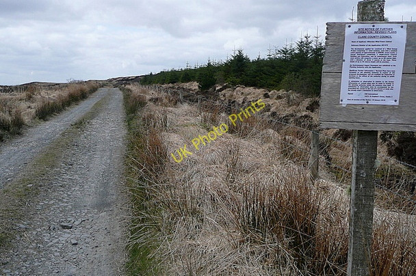 Photo 6"x4" Forestry track at Boolynagleragh Liscasey c2010