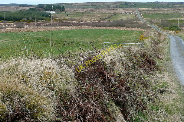 Photo 6"x4" Lane to Dehomad Liscasey c2010