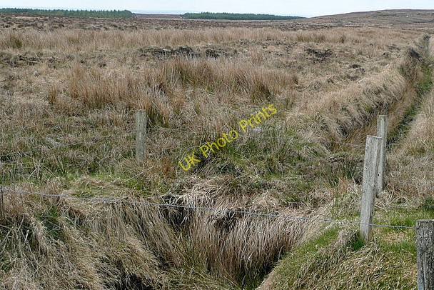 Photo 6"x4" Moorland at Dehomad Liscasey c2010