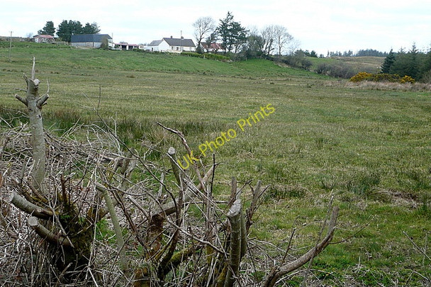 Photo 6"x4" Rough grazing at Dehomad Liscasey c2010