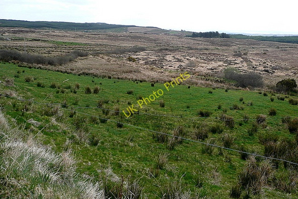 Photo 6"x4" Grazing and moorland at Dehomad Liscasey c2010
