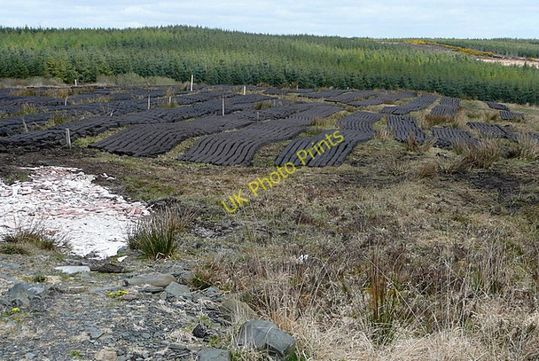 Photo 6"x4" Turf cutting at Liscasey Liscasey c2010