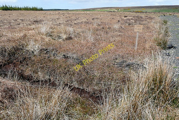 Photo 6"x4" Turf cutting near Dehomad Liscasey c2010