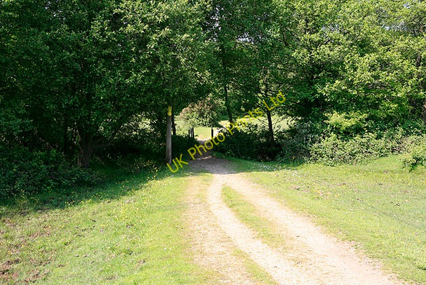 Photo 6"x4" Path and footbridge linking South with North Weirs, Brockenhurst South Weirs c2006