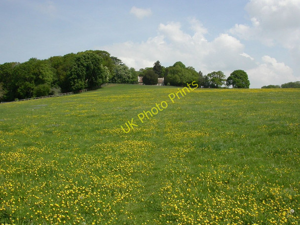 Photo 6"x4" Whitsbury, footpath Rockbourne c2010