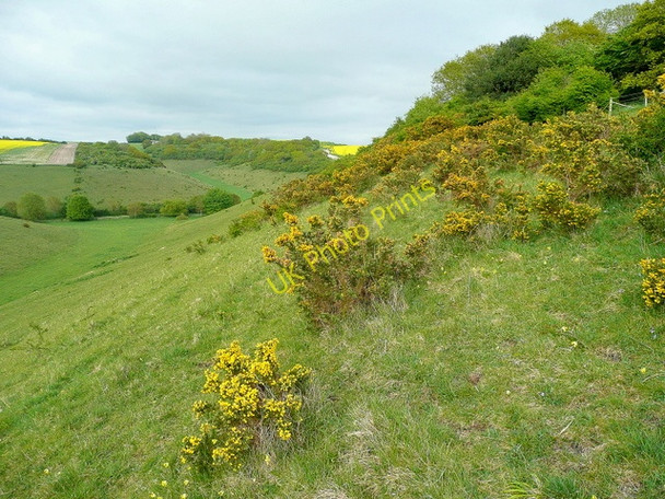 Photo 6"x4" Middleton Down Nature Reserve Mount Sorrel c2010