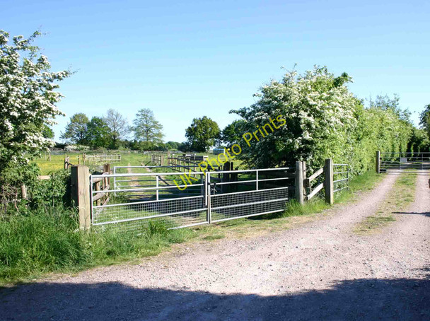 Photo 6"x4" Farm gates near Watchbury Farm, Barford Barford\/SP2760 c2010
