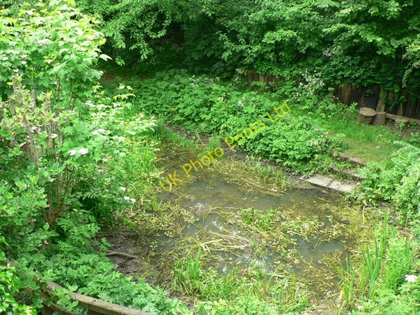Photo 6"x4" Pond, Hollybush Conservation Centre, Leeds Sandford\/SE2535 c2006