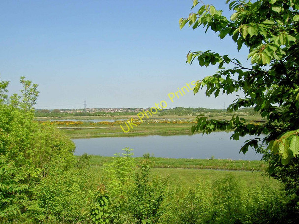 Photo 6"x4" Old Moor RSPB site Bolton Upon Dearne c2010